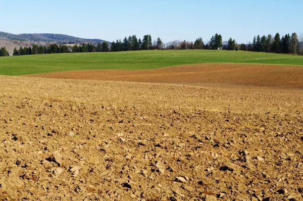 Jordbruksmark förberett för våren — Stockfoto