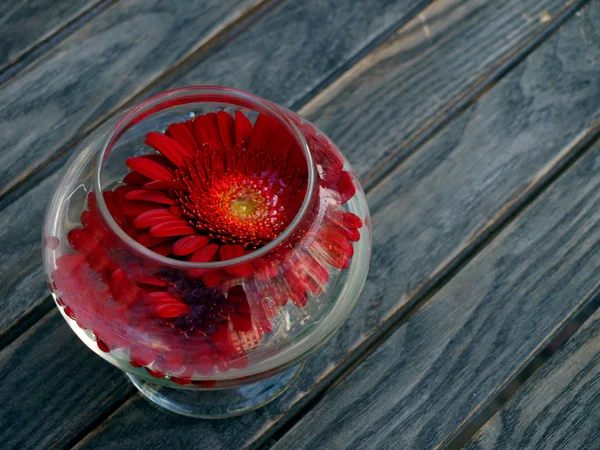 ガラスの赤い花 — ストック写真