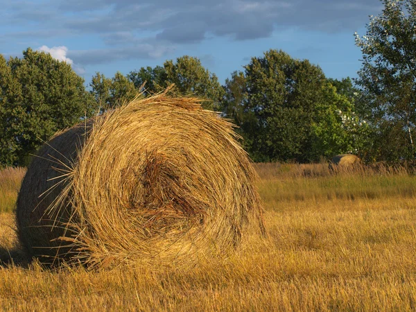 Straw bales in the fall — Φωτογραφία Αρχείου