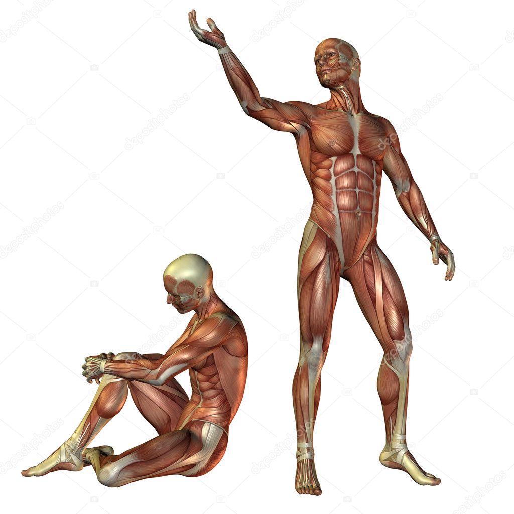 Muscle man standing and sitting