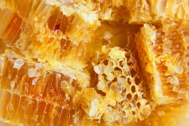 Honey comb. clipart