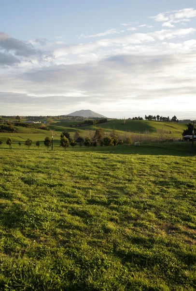 stock image Farmland