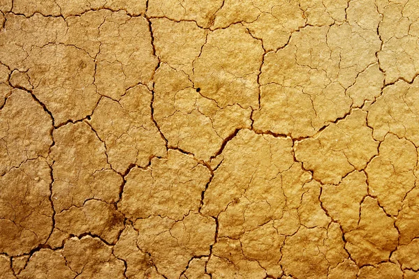 stock image Cracked earth