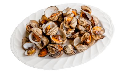 Little sea shell cockle clipart
