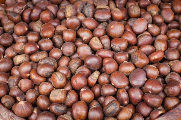 stock image Chestnut