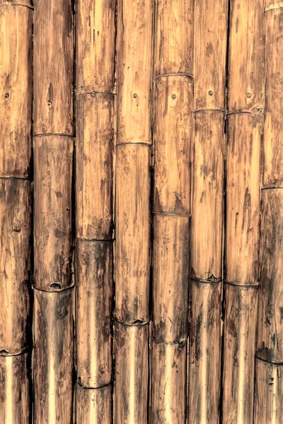 Painel de bambu — Fotografia de Stock