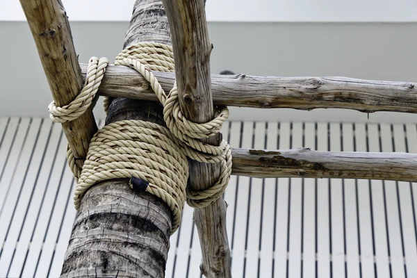 Мотузка на кокосовому дереві — стокове фото