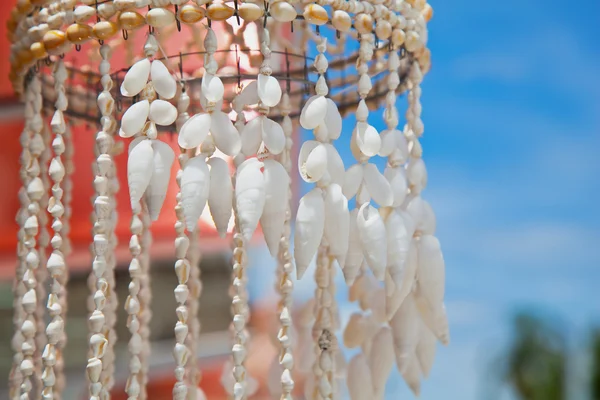 海贝壳装饰 — 图库照片