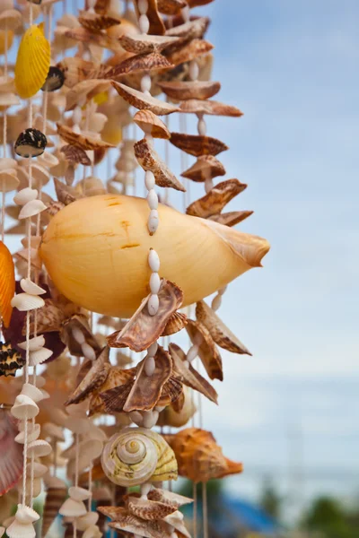 Concha do mar decoração — Fotografia de Stock