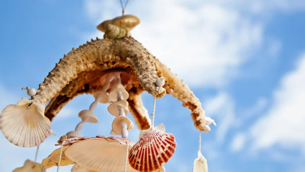 Sea shell decoratie — Stockfoto