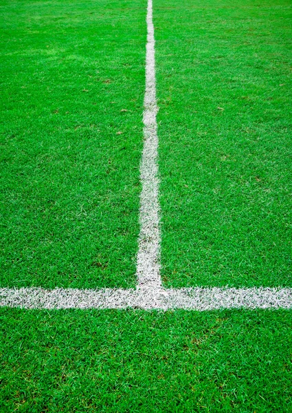 Vit linje i gröngräset sport fältet — Stockfoto
