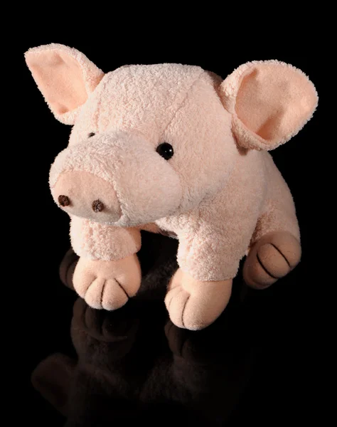 Cerdo de felpa — Foto de Stock