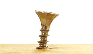 Screw in a piece of wood clipart