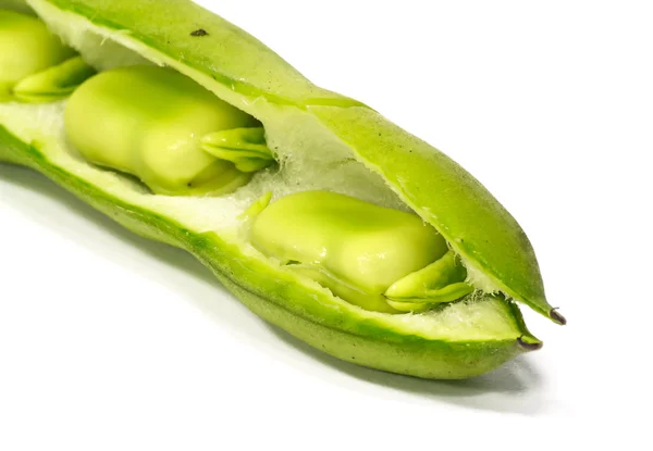 stock image A close up of broad beans