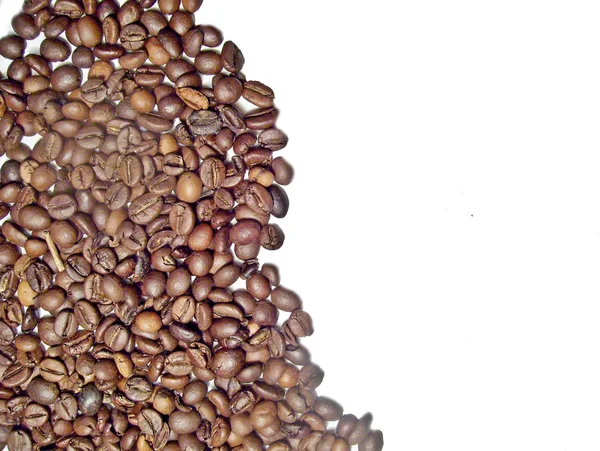 Graines de café brunes — Photo