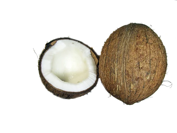 Verse kokosnoot — Stockfoto