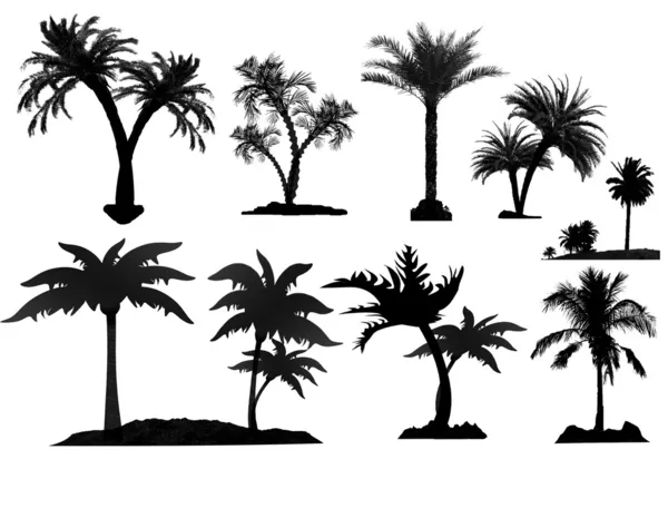 Silhuetas de palmeiras —  Vetores de Stock