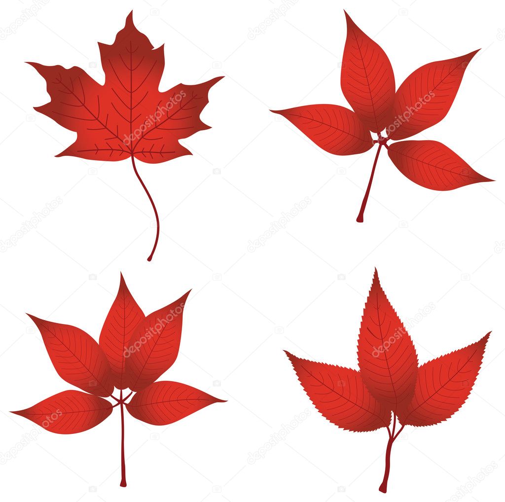 Set of four red leaves
