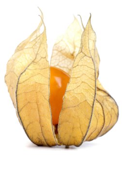 Physalis meyve