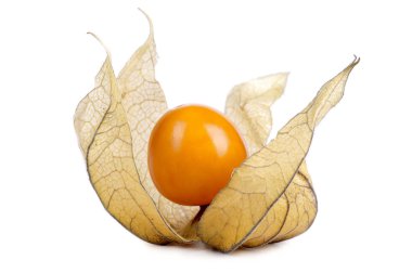 Physalis meyve