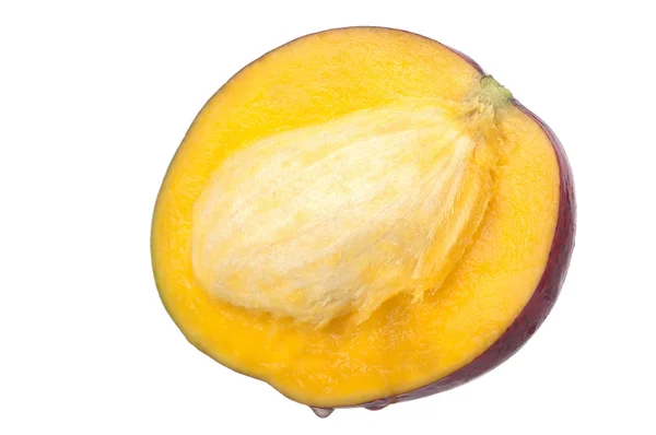 Mango fruit — Stock Photo, Image