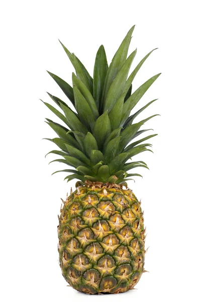 Zralý ananas — Stock fotografie