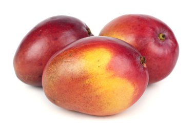 Mango beyaz