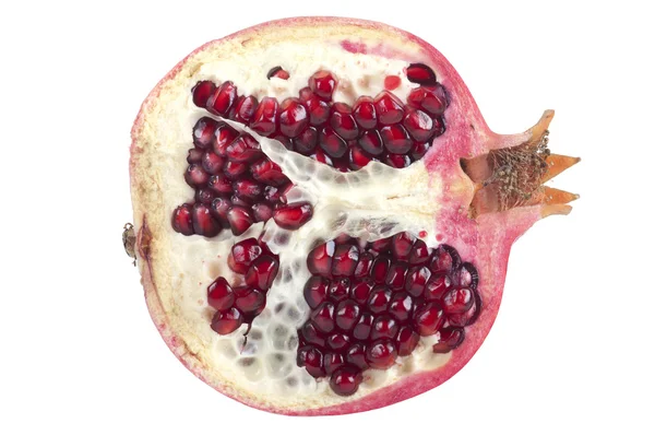 stock image Pomegranate