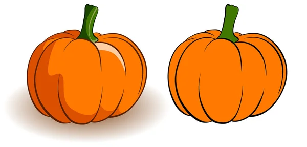 Two pumpkins — Stock Vector