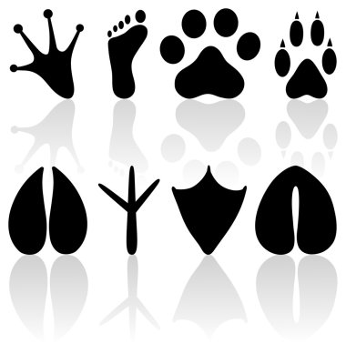 Footprint collection clipart