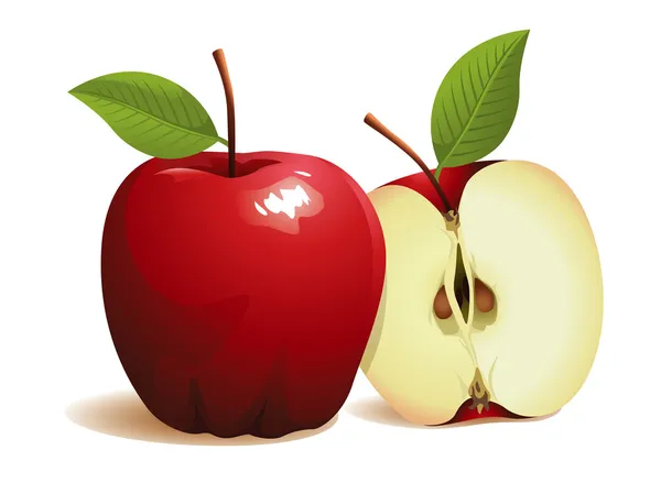 Fruta de maçã — Vetor de Stock