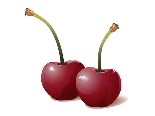 Cherry vruchten — Stockvector