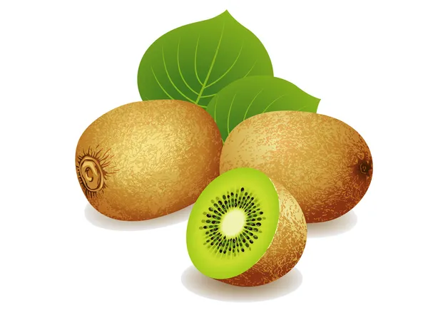 Fruta kiwi — Vector de stock