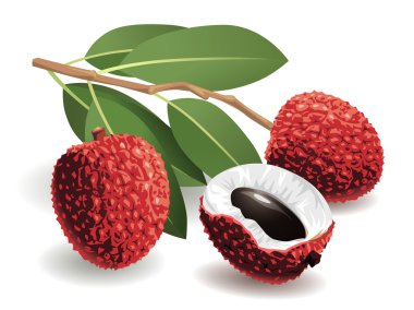 Lychee Fruit clipart