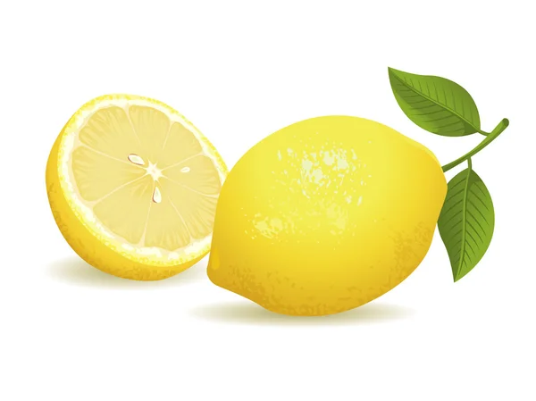 Lemon Fruit Wektory Stockowe bez tantiem