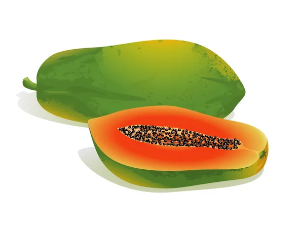 Papaya gyümölcs — Stock Vector