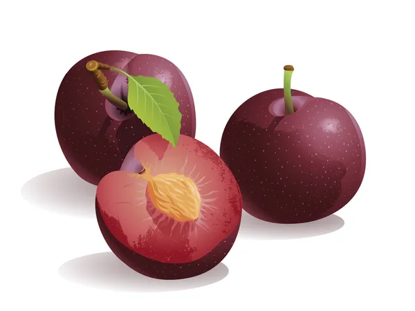 Fruits à prunes — Image vectorielle