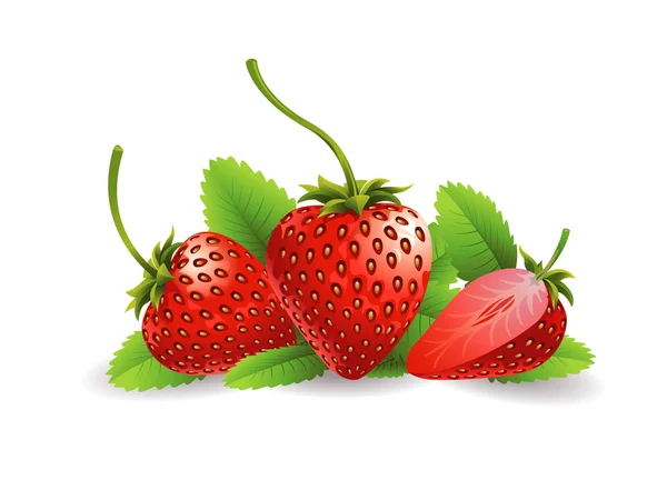 Φράουλες — Διανυσματικό Αρχείο