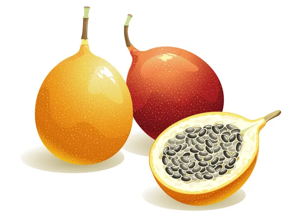 Passion Fruit Vector Graphics