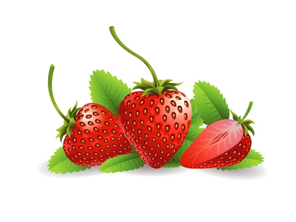 Strawberry Fruit Vector Graphics