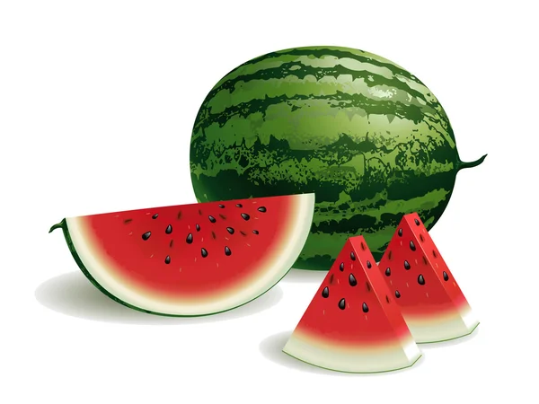 Watermeloen Stockvector