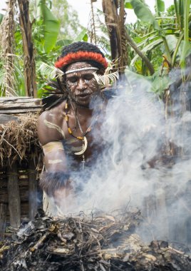 savaşçı Papua kabile geleneksel giysiler ve colorin