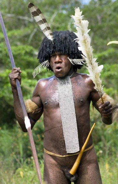 Krigare av en papuanska stam i traditionella kläder och färgläg — Stockfoto