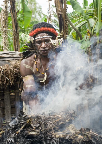 Il guerriero di una tribù papuana in abiti e colori tradizionali — Foto Stock