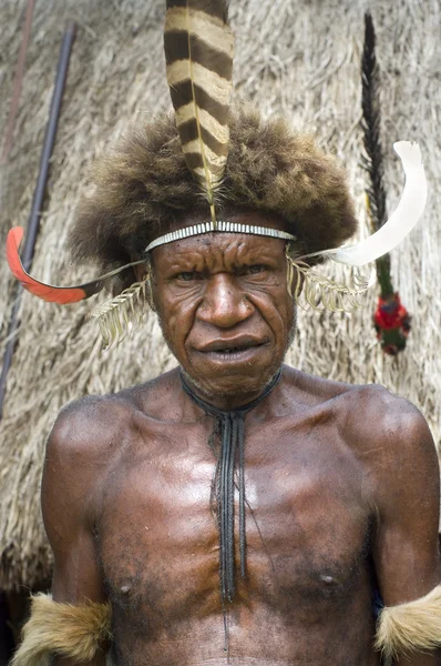 El guerrero de una tribu papuana en ropas tradicionales y colorina —  Fotos de Stock