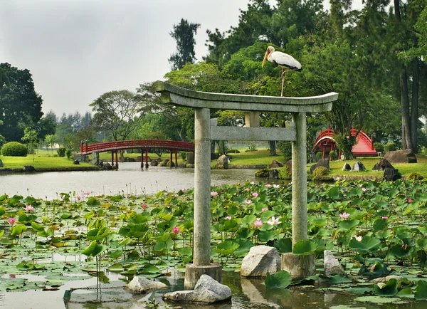Paesaggio giardino giapponese — Foto Stock