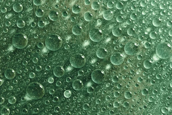 Gotas de agua verde hierba —  Fotos de Stock