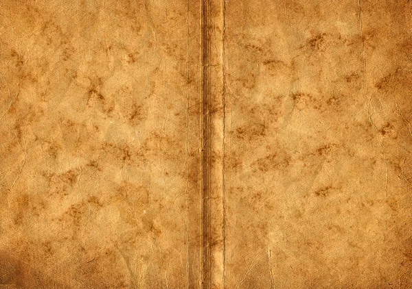 Two blank Pages in ancient Book — Stock Photo, Image