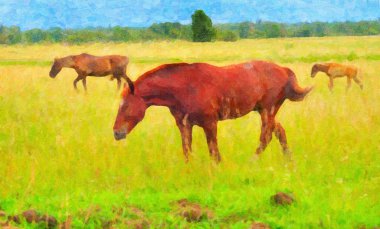 Picture three horses on a pasture clipart