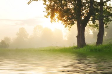 Foggy dawn on the river clipart